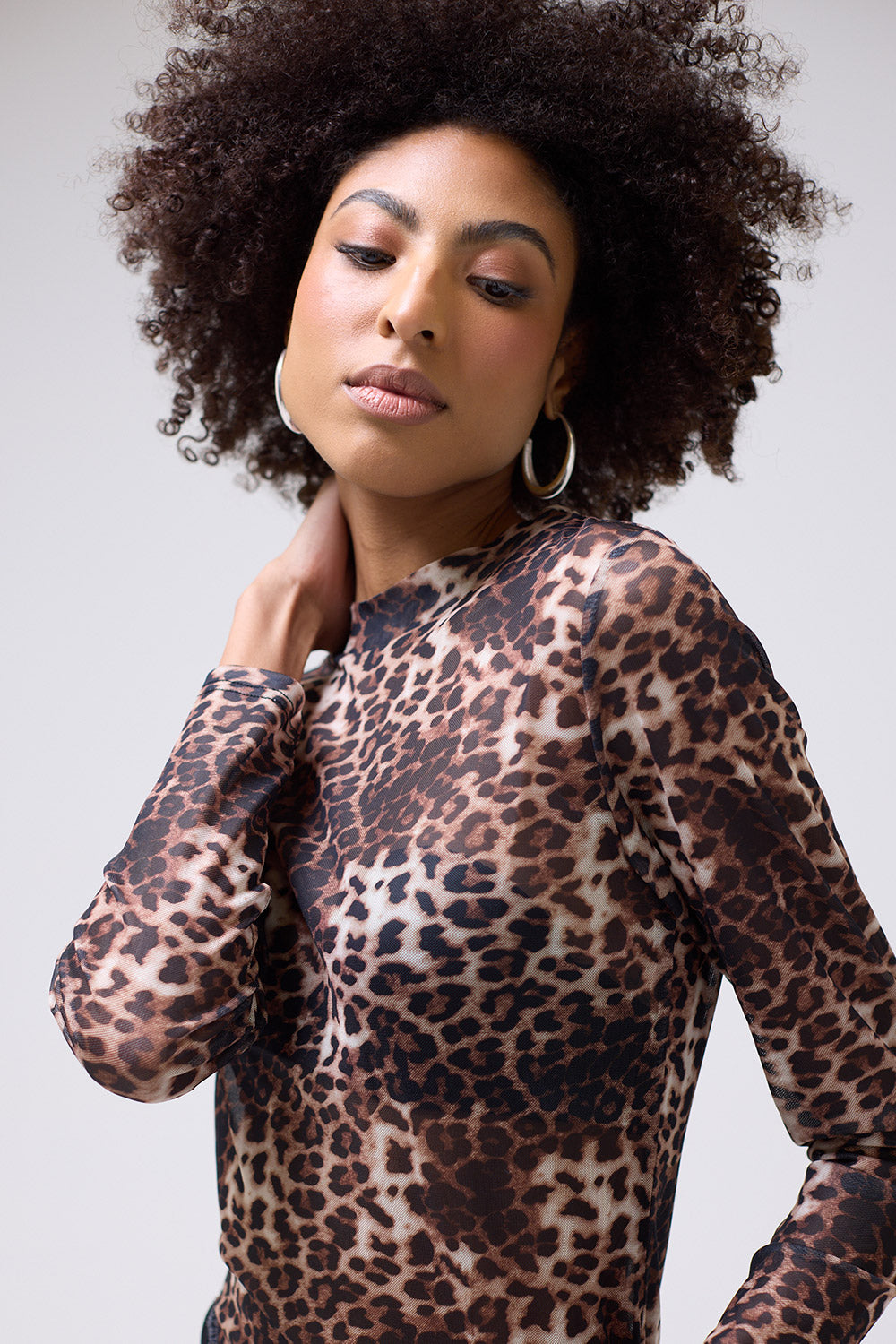 Jass Leopard Print Sheer Mesh Long Sleeve Top in Beige