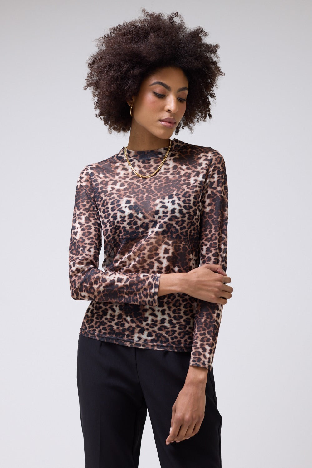 Jass Leopard Print Sheer Mesh Long Sleeve Top in Beige