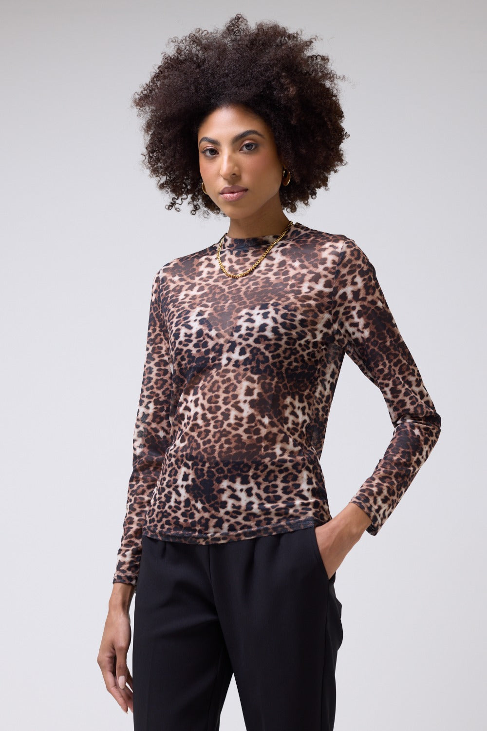 Jass Leopard Print Sheer Mesh Long Sleeve Top in Beige