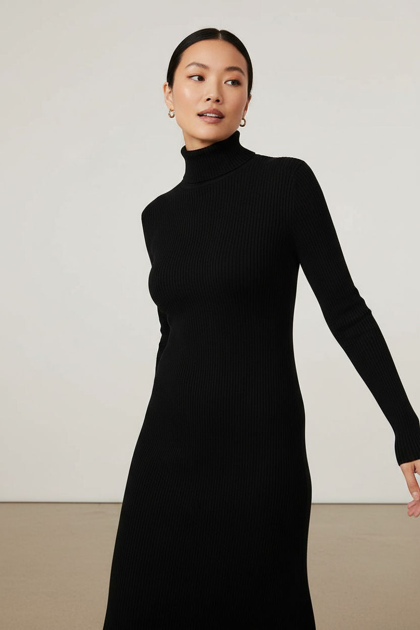 Ribbed Knit Turtleneck Midi Dress