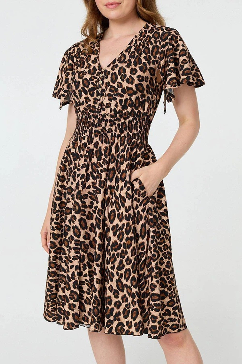 Anna Leopard Print Dress