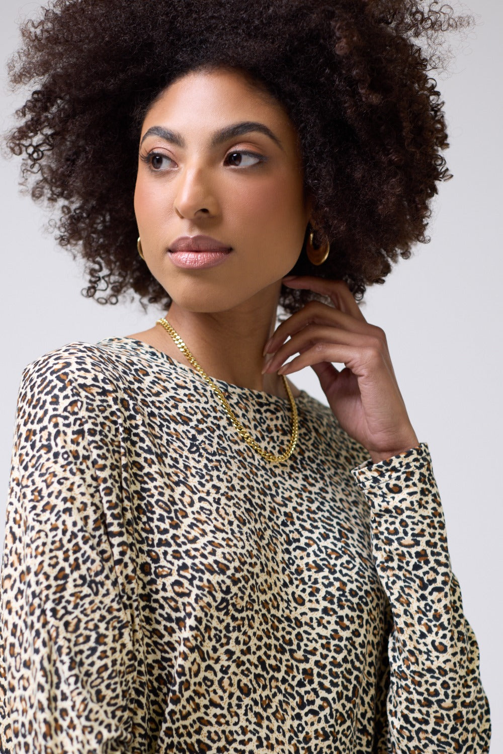 Bonnie Leopard Print Batwing Sleeve Top in Brown