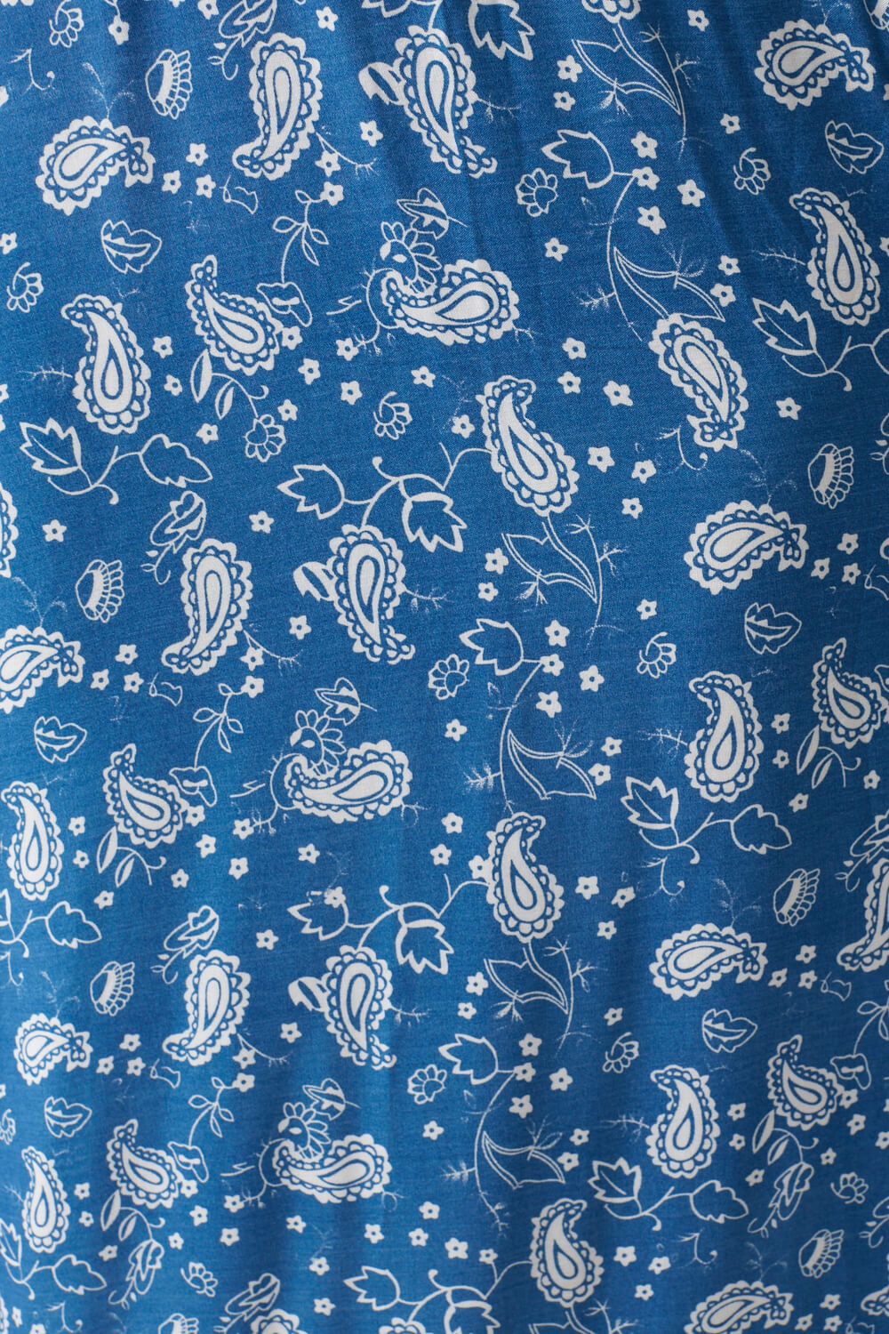 https://www.iclothing.com/media/catalog/product/e/d/eden_paisley_print_maxi_dress_in_blue-5.jpg